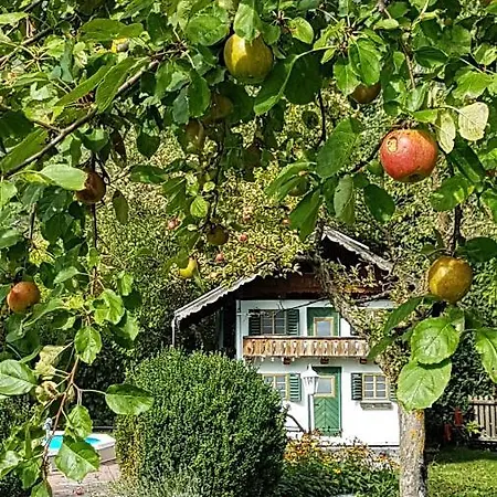 Jaeger מלון Wildermieming